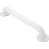 Moen R8718PS Bathroom Safety 18-Inch Grab Bar with Concealed Screws, Stainless(Glacier White)