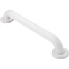 Moen Stainless Steel Bathroom Safety 32-Inch Grab Bar with Concealed Screws and Slip Resistant Peened Texture, R8732P(Glacier)
