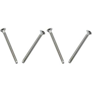 Moen 15528 Escutcheon Screws, Chrome (2-Pack)(4 Pack)